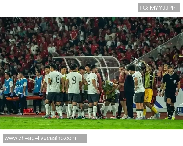 中国足球队世界排名最新动态与未来发展趋势分析